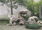 今日更新蘇州獅子林門票（拙政園和獅子林）