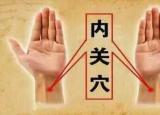 今日更新奇經(jīng)八脈圖（人體生命線奇經(jīng)八脈）