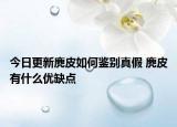 今日更新麂皮如何鑒別真假 麂皮有什么優(yōu)缺點(diǎn)