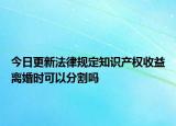 今日更新法律規(guī)定知識(shí)產(chǎn)權(quán)收益離婚時(shí)可以分割嗎