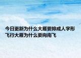 今日更新為什么大雁要排成人字形飛行大雁為什么要向南飛