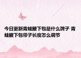 今日更新青蛙腋下包是什么牌子 青蛙腋下包帶子長度怎么調(diào)節(jié)