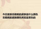 今日更新北極熊的皮膚是什么顏色北極熊的皮膚顏色其實是黑色的