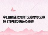 今日更新打野球什么意思怎么賺錢 打野球受傷誰負(fù)責(zé)任