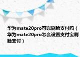 華為mate20pro可以刷臉支付嗎（華為mate20pro怎么設(shè)置支付寶刷臉支付）