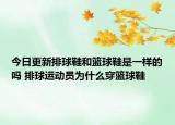 今日更新排球鞋和籃球鞋是一樣的嗎 排球運動員為什么穿籃球鞋