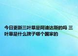 今日更新三葉草是阿迪達(dá)斯的嗎 三葉草是什么牌子哪個(gè)國(guó)家的