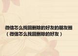 微信怎么找回刪除的好友的朋友圈（微信怎么找回刪除的好友）