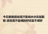 今日更新運動流汗是減水分還是脂肪 運動流汗是咸的好還是不咸好