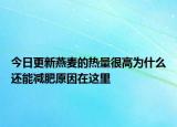 今日更新燕麥的熱量很高為什么還能減肥原因在這里