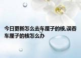 今日更新怎么去車厘子的核,誤吞車厘子的核怎么辦
