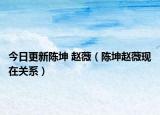 今日更新陳坤 趙薇（陳坤趙薇現(xiàn)在關系）