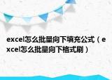 excel怎么批量向下填充公式（excel怎么批量向下格式刷）