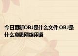 今日更新OBJ是什么文件 OBJ是什么意思網(wǎng)絡(luò)用語(yǔ)