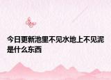 今日更新池里不見(jiàn)水地上不見(jiàn)泥是什么東西