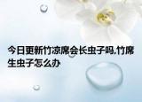 今日更新竹涼席會長蟲子嗎,竹席生蟲子怎么辦