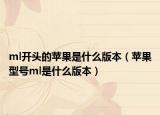 ml開頭的蘋果是什么版本（蘋果型號(hào)ml是什么版本）