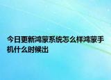 今日更新鴻蒙系統(tǒng)怎么樣鴻蒙手機(jī)什么時(shí)候出