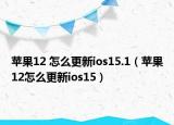 蘋果12 怎么更新ios15.1（蘋果12怎么更新ios15）