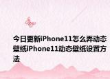 今日更新iPhone11怎么弄動態(tài)壁紙iPhone11動態(tài)壁紙設置方法