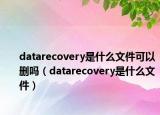 datarecovery是什么文件可以刪嗎（datarecovery是什么文件）