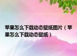 蘋果怎么下載動(dòng)態(tài)壁紙圖片（蘋果怎么下載動(dòng)態(tài)壁紙）