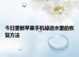 今日更新蘋果手機掉進水里的恢復方法