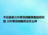 今日更新三葉草羽絨服真假如何識(shí)別 三葉草羽絨服質(zhì)量怎么樣