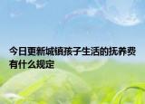 今日更新城鎮(zhèn)孩子生活的撫養(yǎng)費有什么規(guī)定
