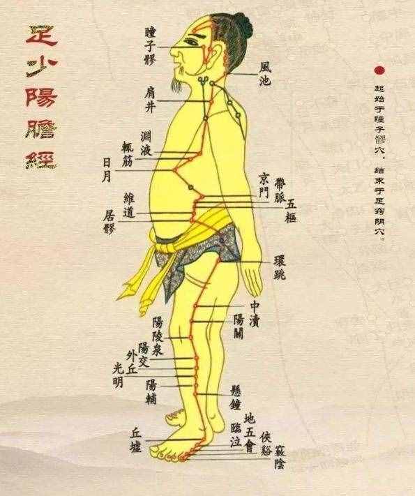排毒養(yǎng)肝，養(yǎng)生第十一條經(jīng)脈：足少陽膽經(jīng)