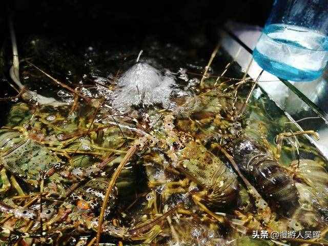 親測6條海南自駕路線，不用燒腦，不虛此行美到爆