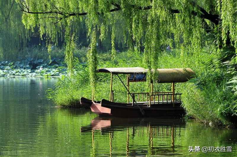 初夏綠陰詩詞五首，日晚無來客，閑船系綠陰