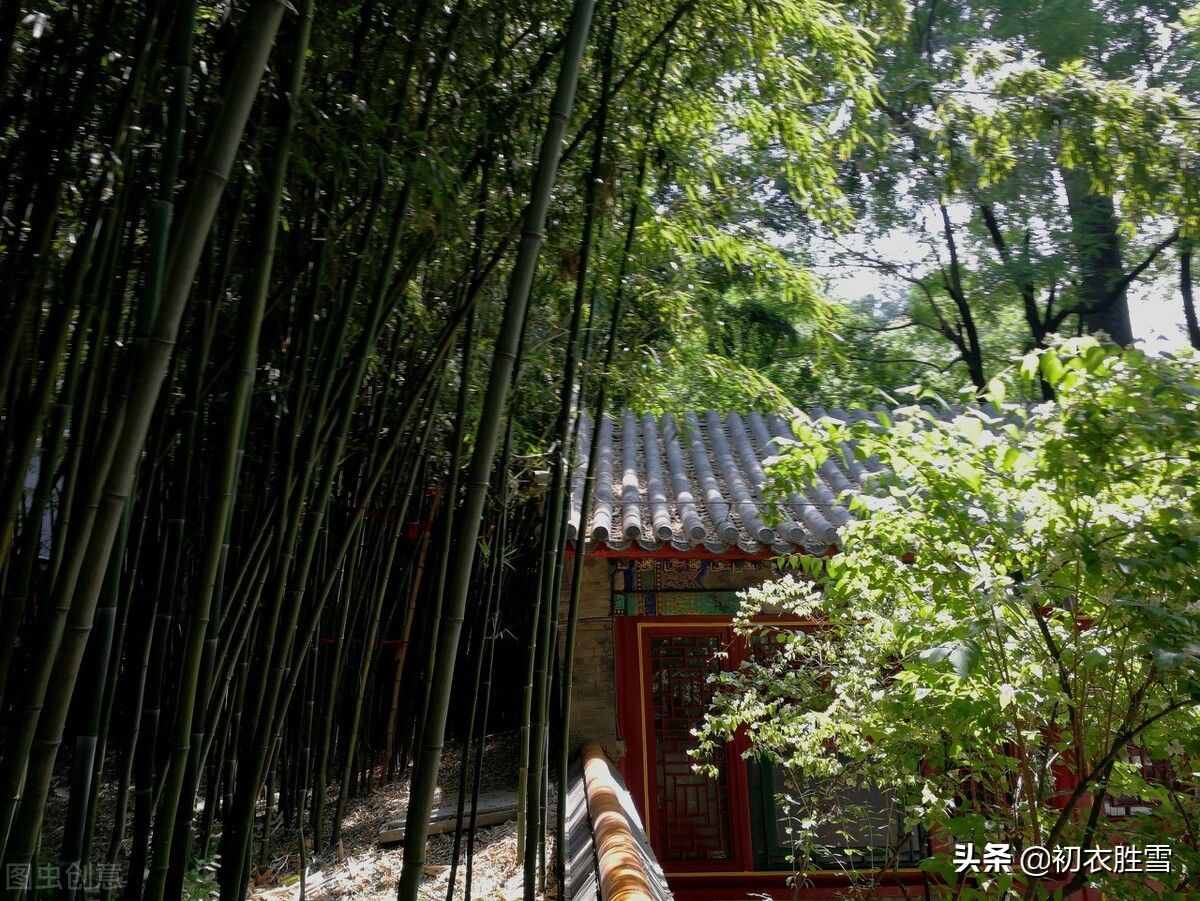 初夏綠陰詩詞五首，日晚無來客，閑船系綠陰