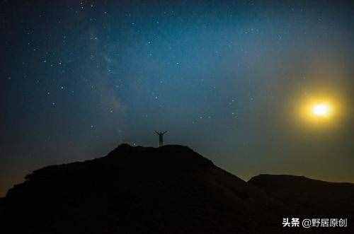 原創(chuàng)隨筆散文《昨夜那一刻，我曾沉淪過》