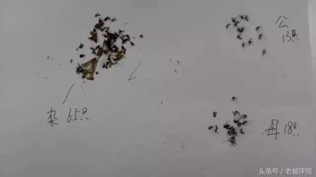 滅蚊燈真的能滅蚊嗎？3款滅蚊燈的評測結(jié)果讓蚊子聞風喪膽！