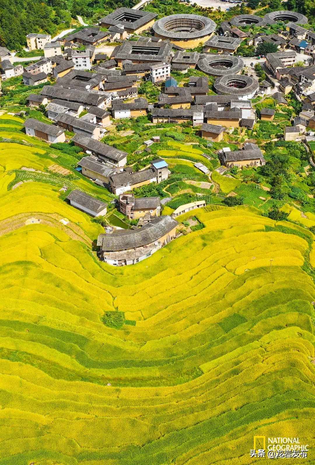 《國家地理》推薦永定土樓！這種“土”，愛了！