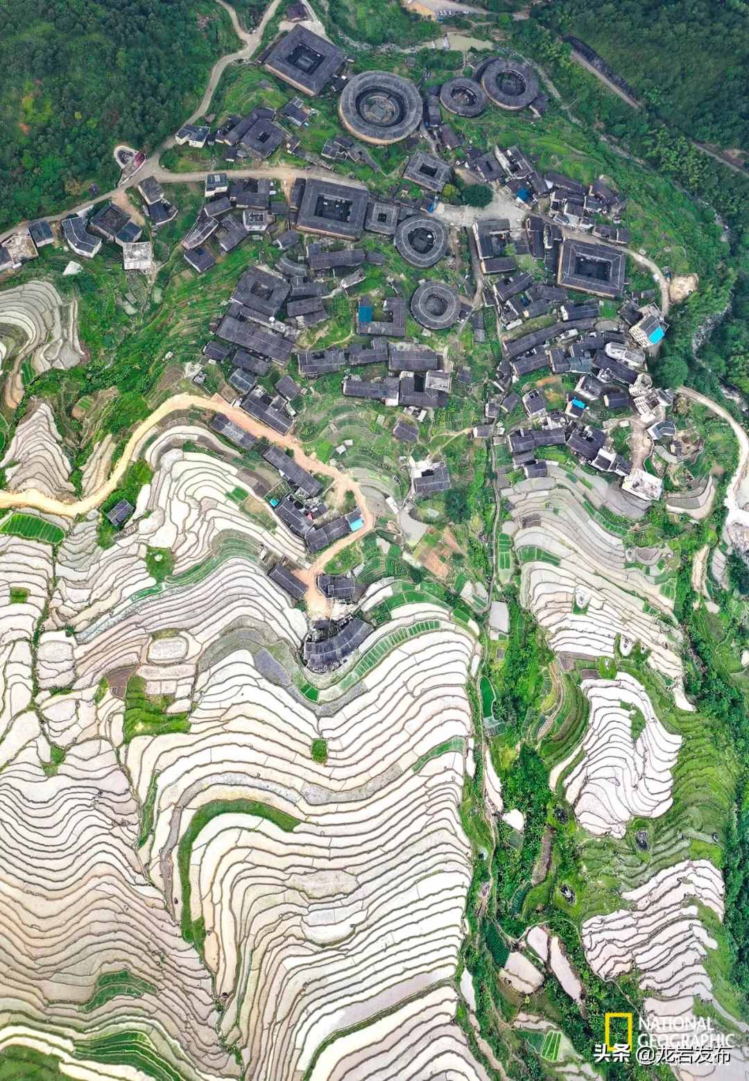 《國家地理》推薦永定土樓！這種“土”，愛了！