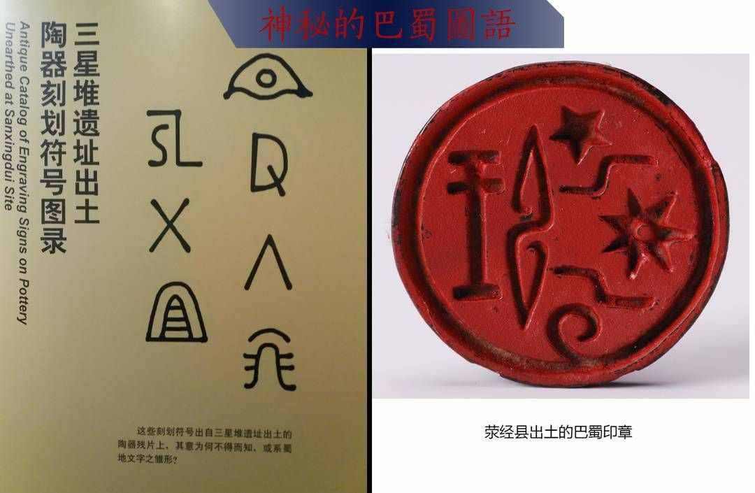 發(fā)現(xiàn)｜夏云：三星堆青銅神樹原型是珙桐？