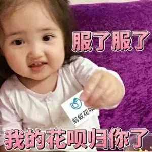 收?qǐng)D啦！75 張豬年壁紙，開啟元?dú)鉂M滿的一年！