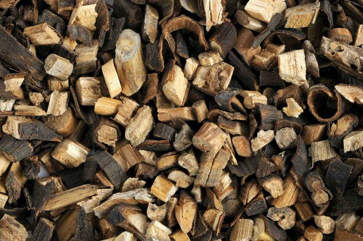 桂枝的功效與作用？護(hù)肝止咳，發(fā)汗驅(qū)寒樣樣行