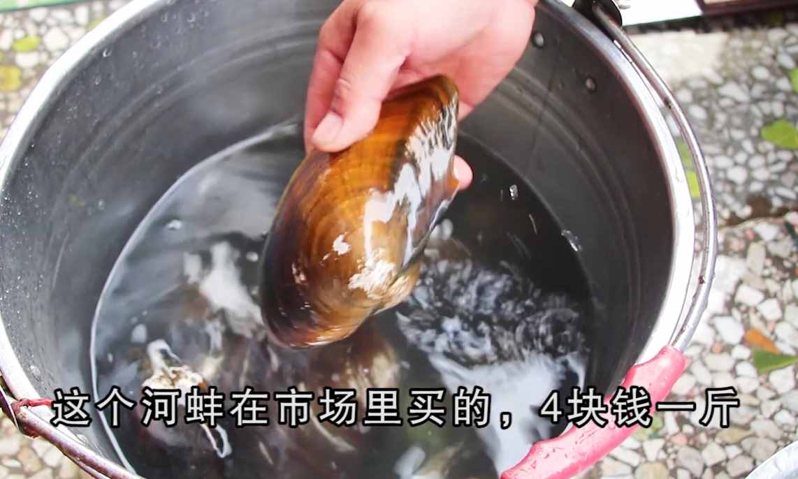 河蚌很多人不會做？教你好吃的家常做法，肉不老也不腥，營養(yǎng)美味