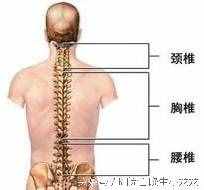 骨質(zhì)增生秘方大公開，告別疼痛，治一個好一個的良方！