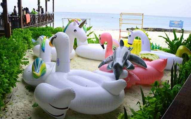 亞庇沙巴經(jīng)典玩法攻略/必游海島