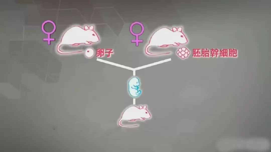 不交配也能繁殖，把有性繁殖變成孤雌生殖，能用在人類身上嗎？