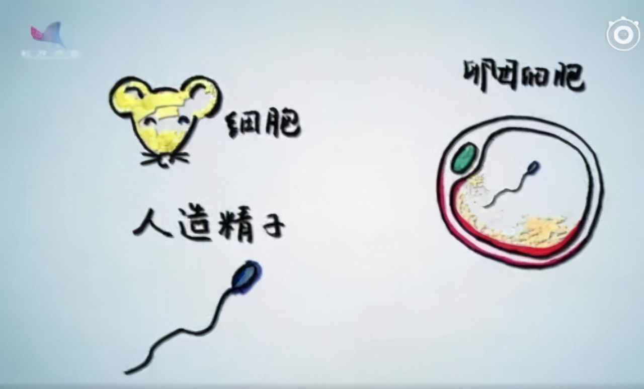 不交配也能繁殖，把有性繁殖變成孤雌生殖，能用在人類身上嗎？