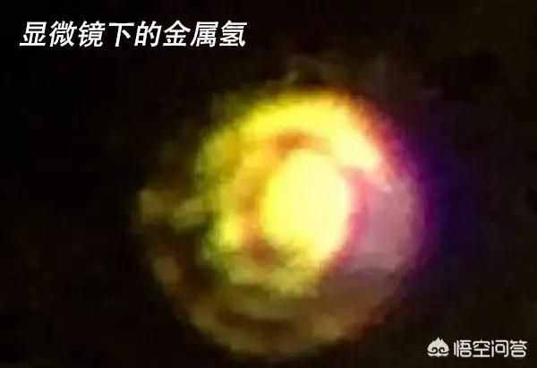 化石的形成與流水掩埋無關(guān)