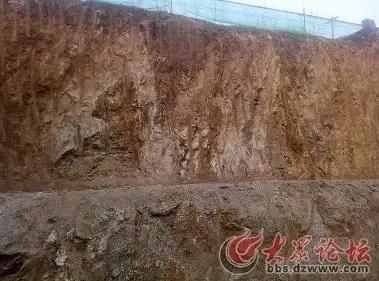 化石的形成與流水掩埋無關(guān)