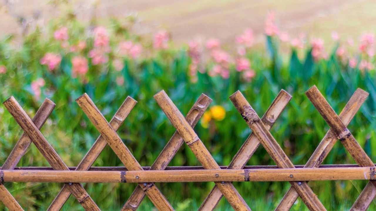 中國(guó)很美的十首現(xiàn)代詩(shī)，美入骨髓，一定要讀一次