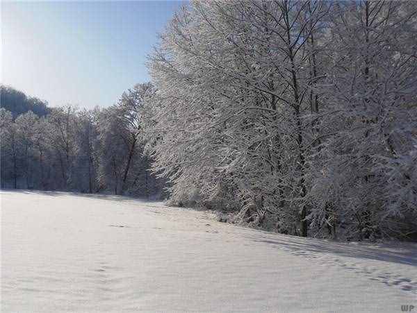 最全下雪天心情說說，浪漫、文藝、傷感、幽默……總有一句你喜歡的