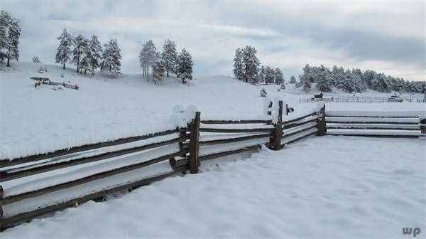 最全下雪天心情說說，浪漫、文藝、傷感、幽默……總有一句你喜歡的